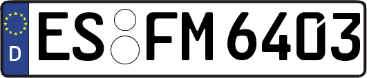 ES-FM6403