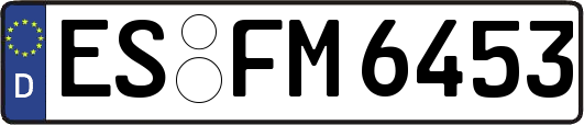 ES-FM6453