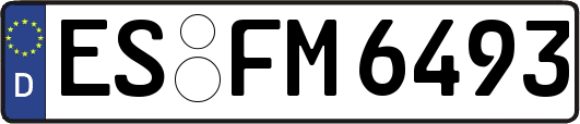 ES-FM6493