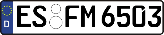 ES-FM6503