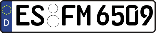 ES-FM6509