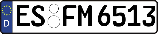 ES-FM6513