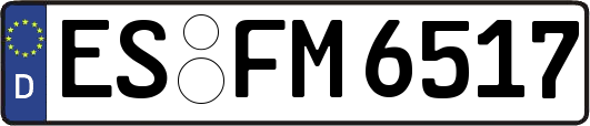 ES-FM6517