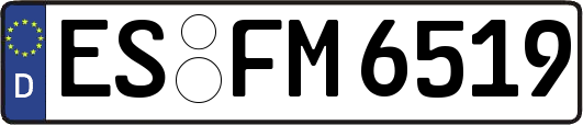 ES-FM6519