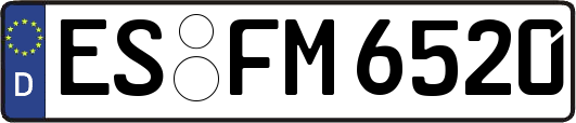 ES-FM6520