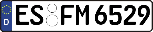 ES-FM6529