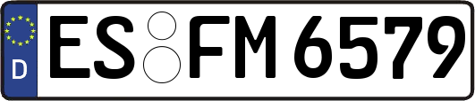 ES-FM6579