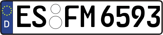 ES-FM6593