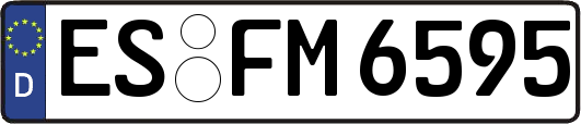 ES-FM6595