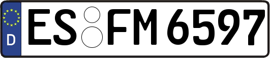 ES-FM6597
