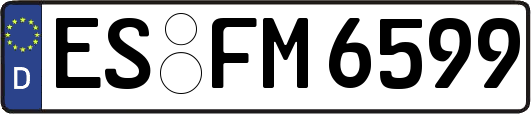 ES-FM6599