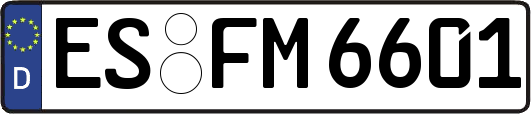ES-FM6601