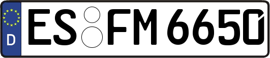 ES-FM6650