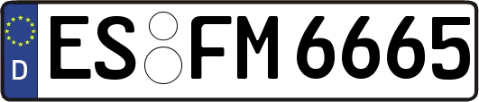 ES-FM6665