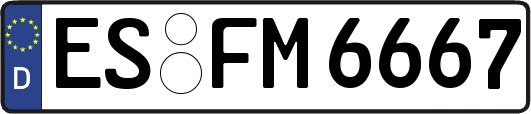 ES-FM6667