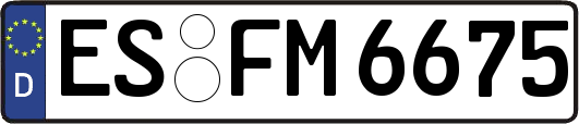 ES-FM6675