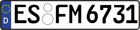 ES-FM6731