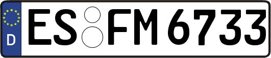 ES-FM6733