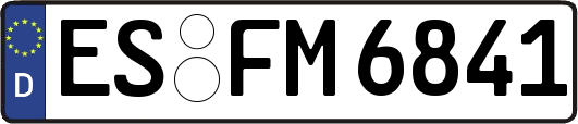 ES-FM6841