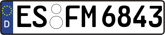 ES-FM6843
