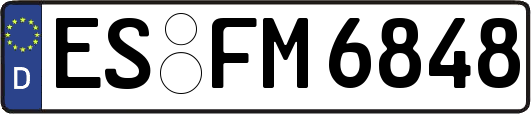 ES-FM6848