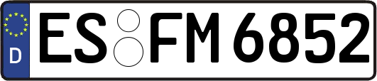ES-FM6852