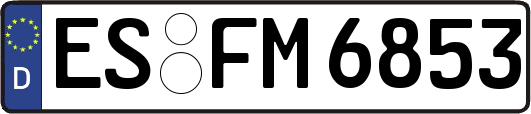 ES-FM6853