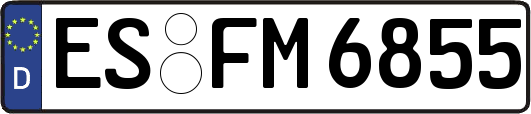 ES-FM6855