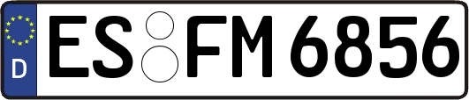 ES-FM6856