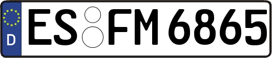 ES-FM6865