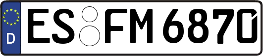 ES-FM6870