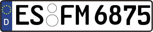 ES-FM6875