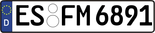 ES-FM6891