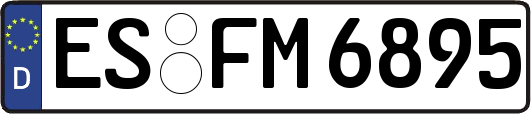 ES-FM6895