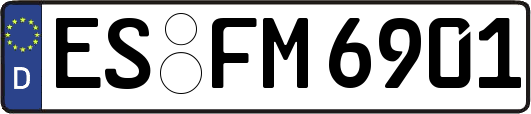 ES-FM6901