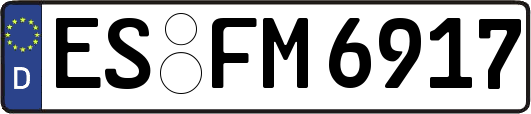 ES-FM6917
