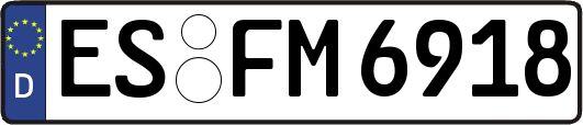 ES-FM6918