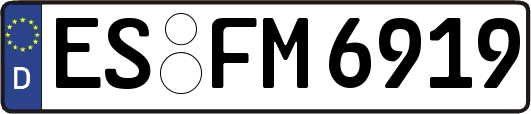 ES-FM6919