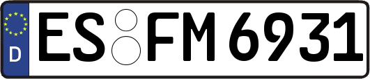 ES-FM6931