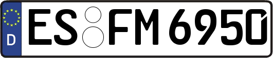 ES-FM6950