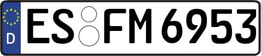 ES-FM6953