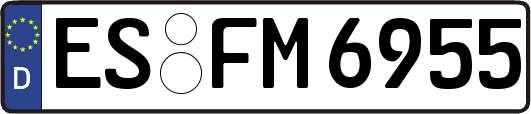 ES-FM6955