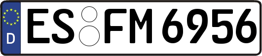 ES-FM6956