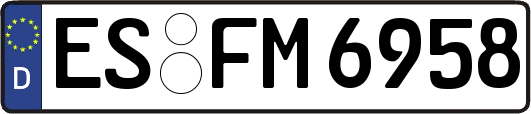 ES-FM6958