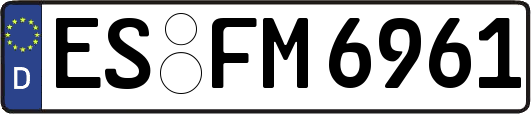 ES-FM6961