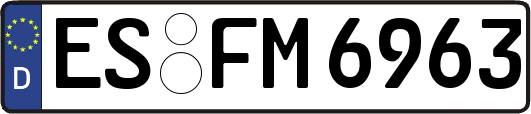ES-FM6963