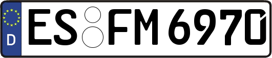 ES-FM6970