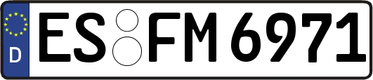 ES-FM6971