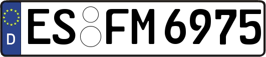 ES-FM6975