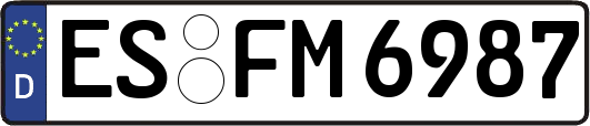 ES-FM6987